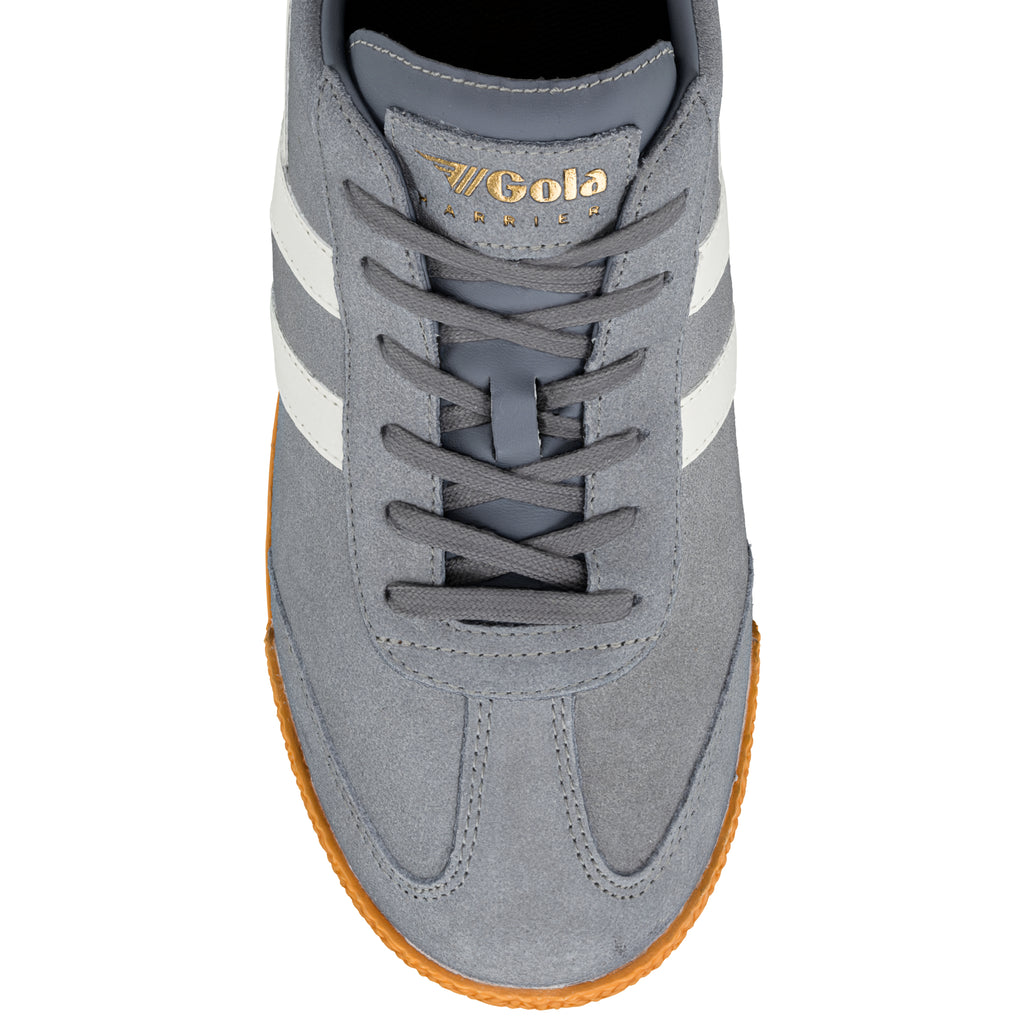 Men's Harrier Suede Trainers