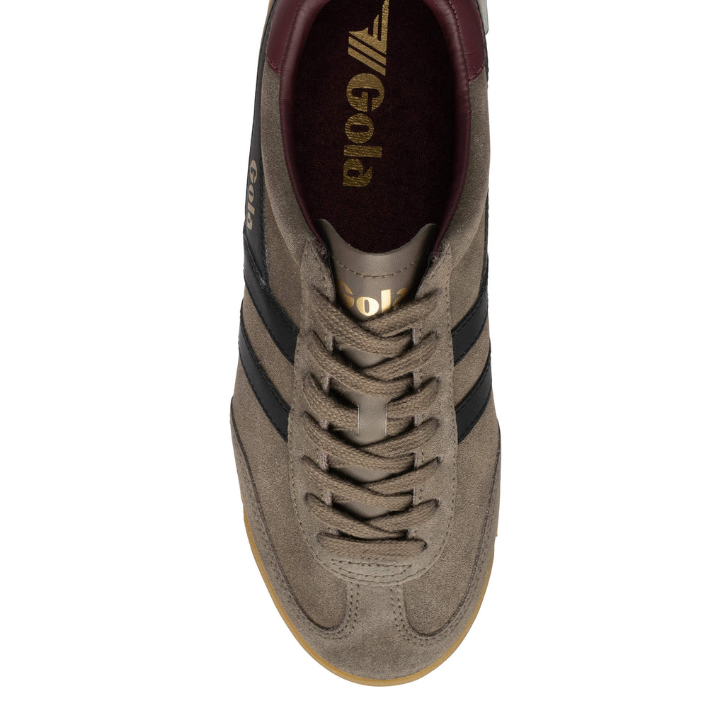 Top-down view of a Gola Harrier trainer in taupe suede with black stripes and a burgundy collar